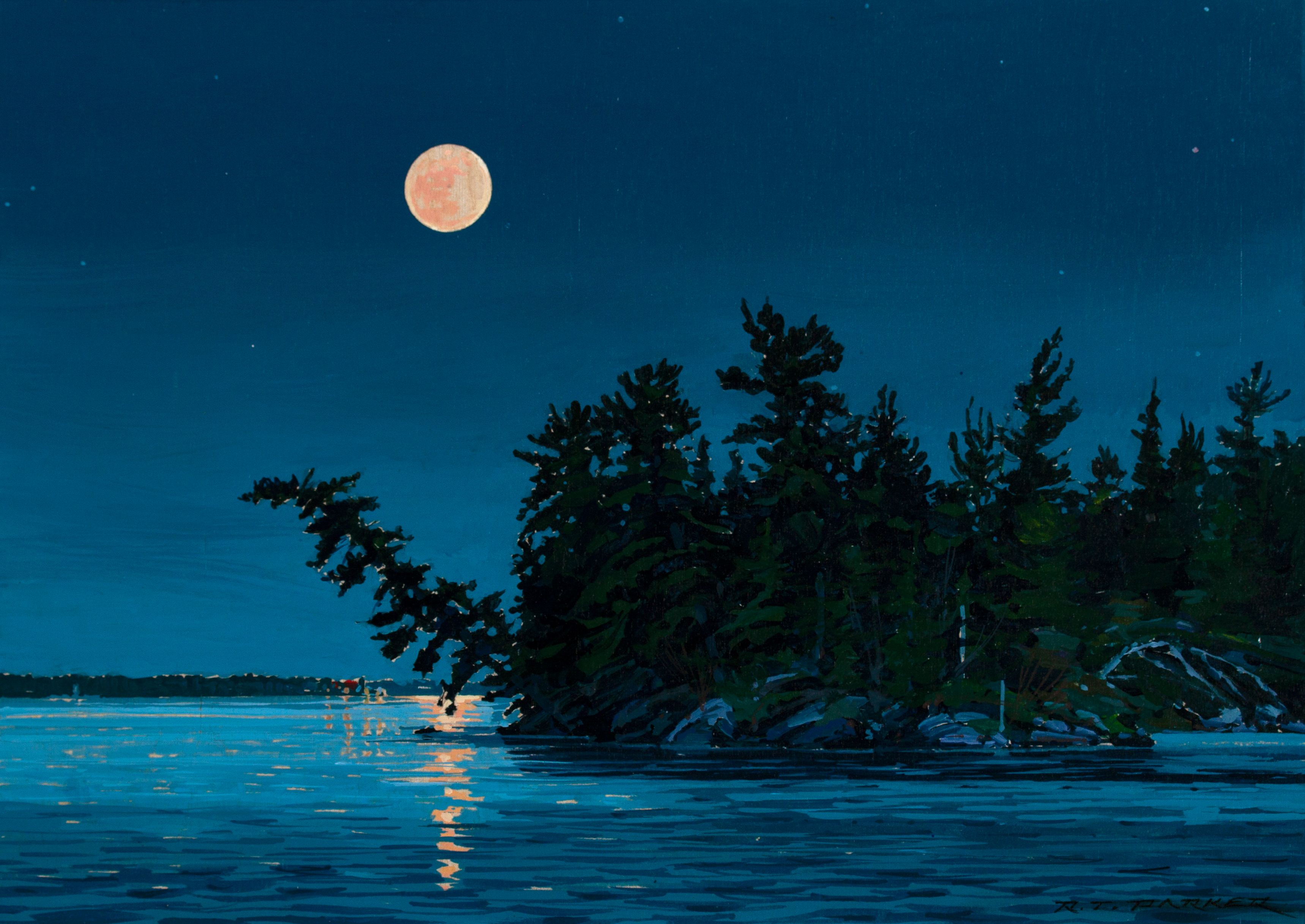 15954317699941132203parker randolph moonlight.jpg