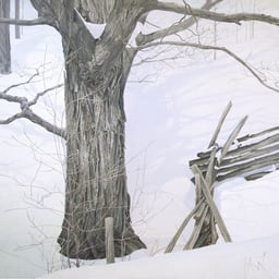 Robert Bateman Profile Image