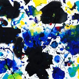 Sam Francis Profile Image