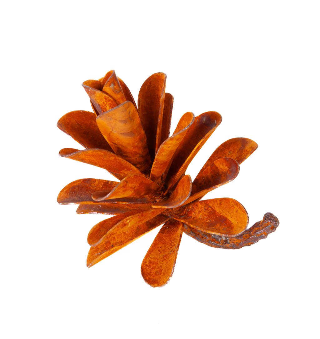Pine