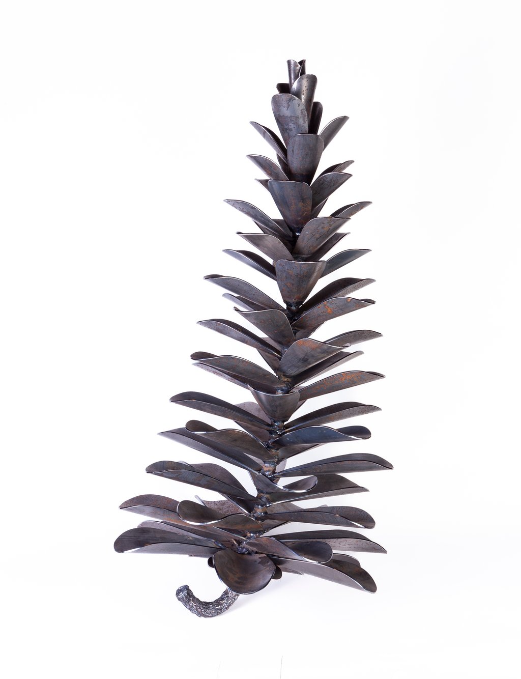 Pine