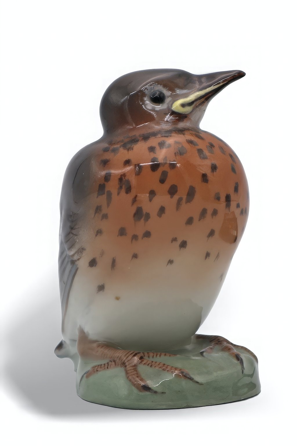 Robin