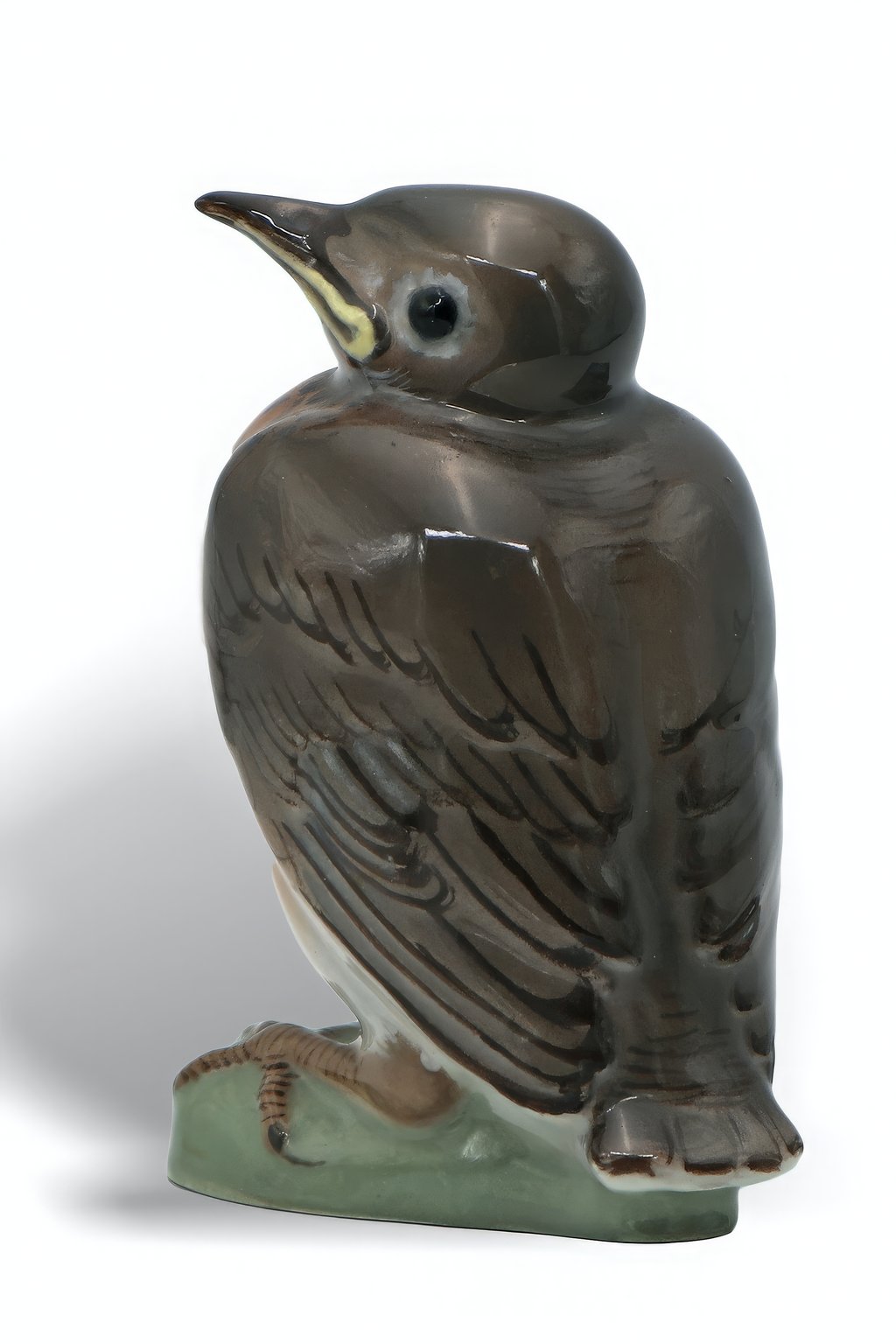 Robin