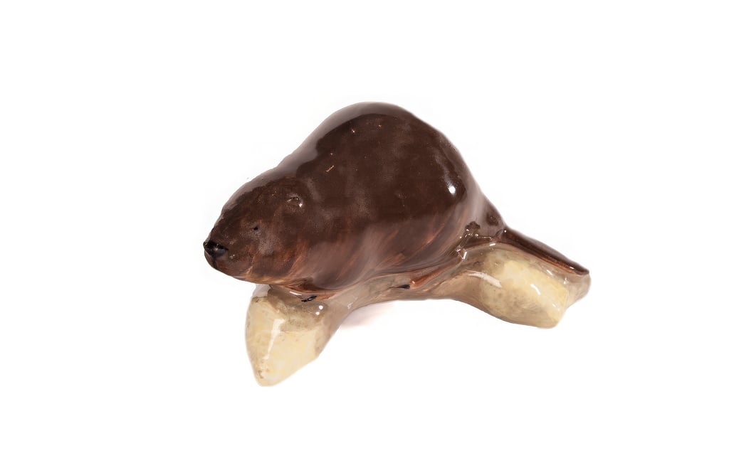 Beaver