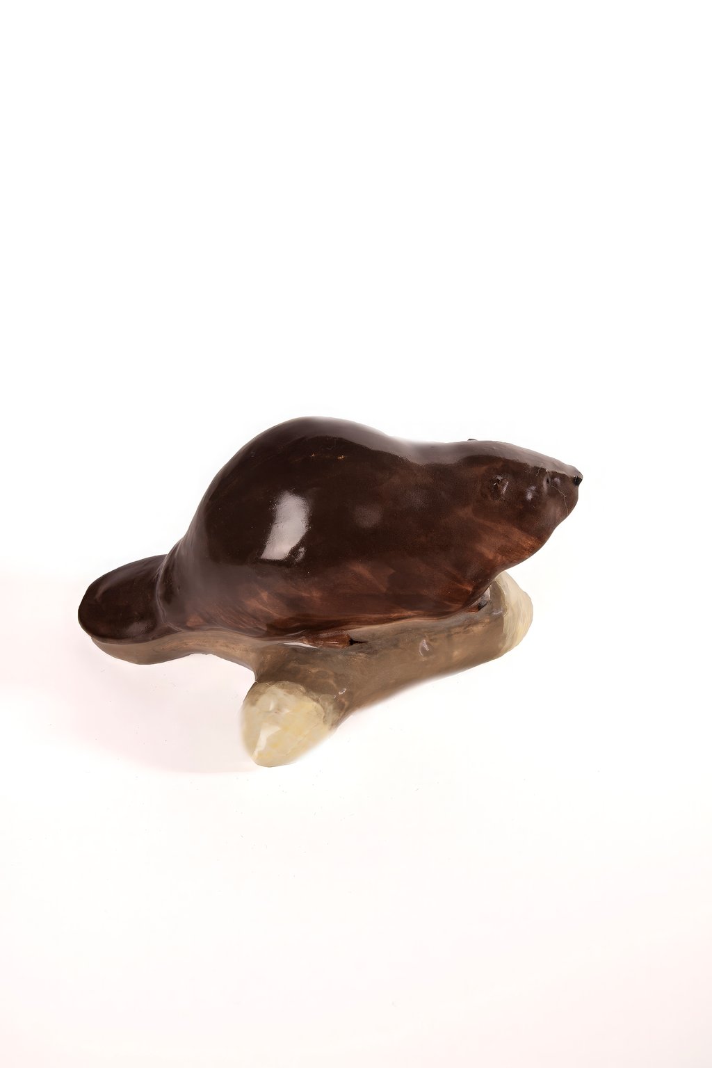 Beaver