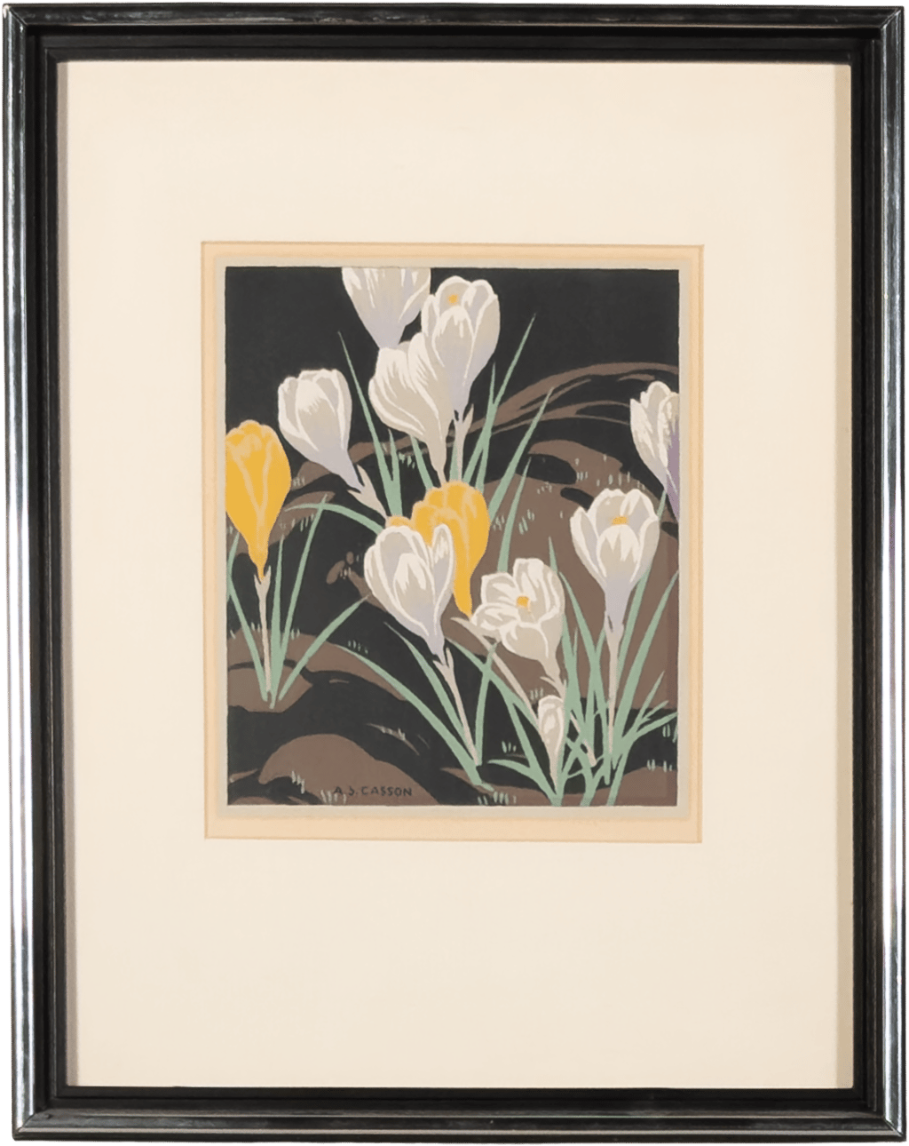 Crocuses