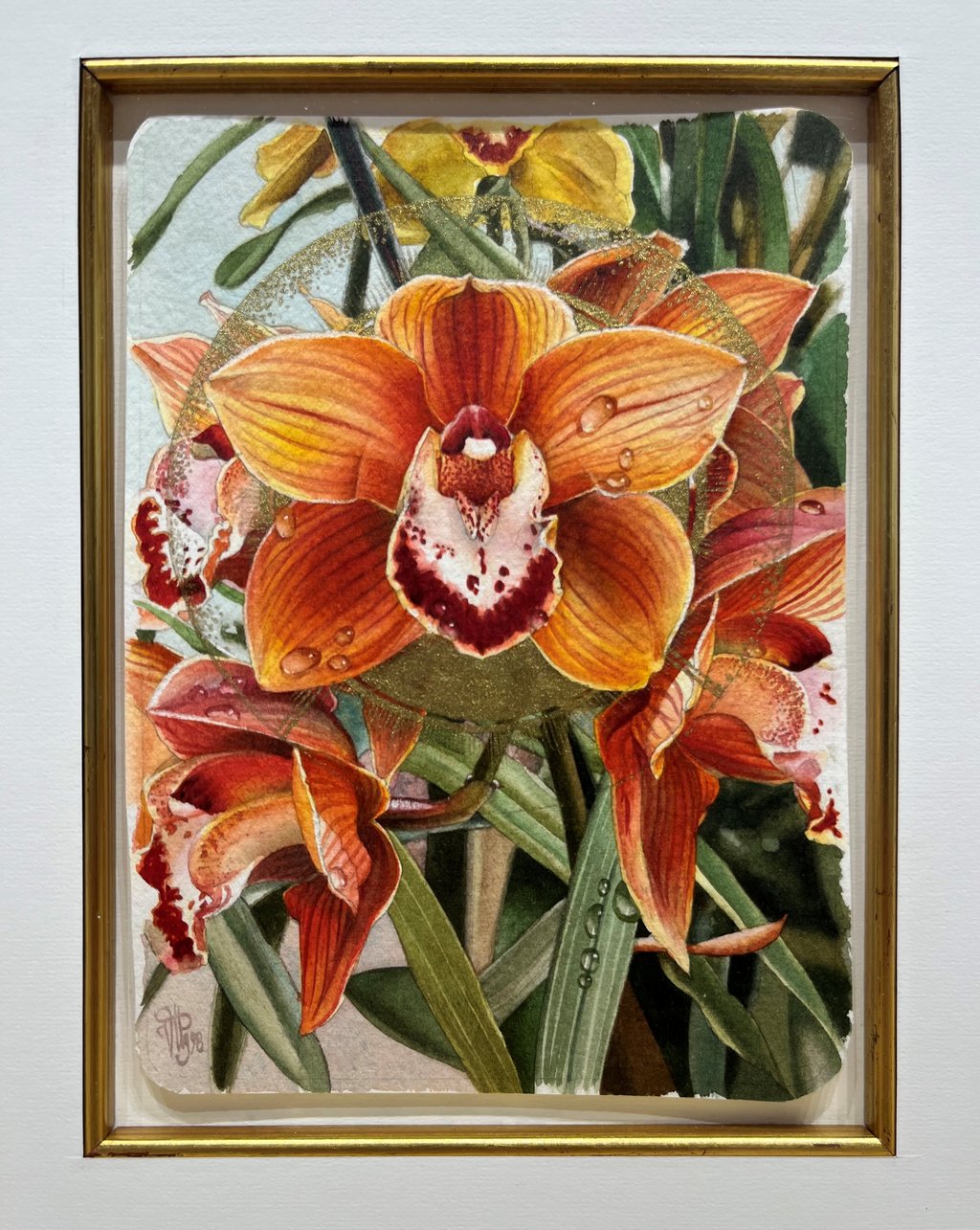 Tropicon