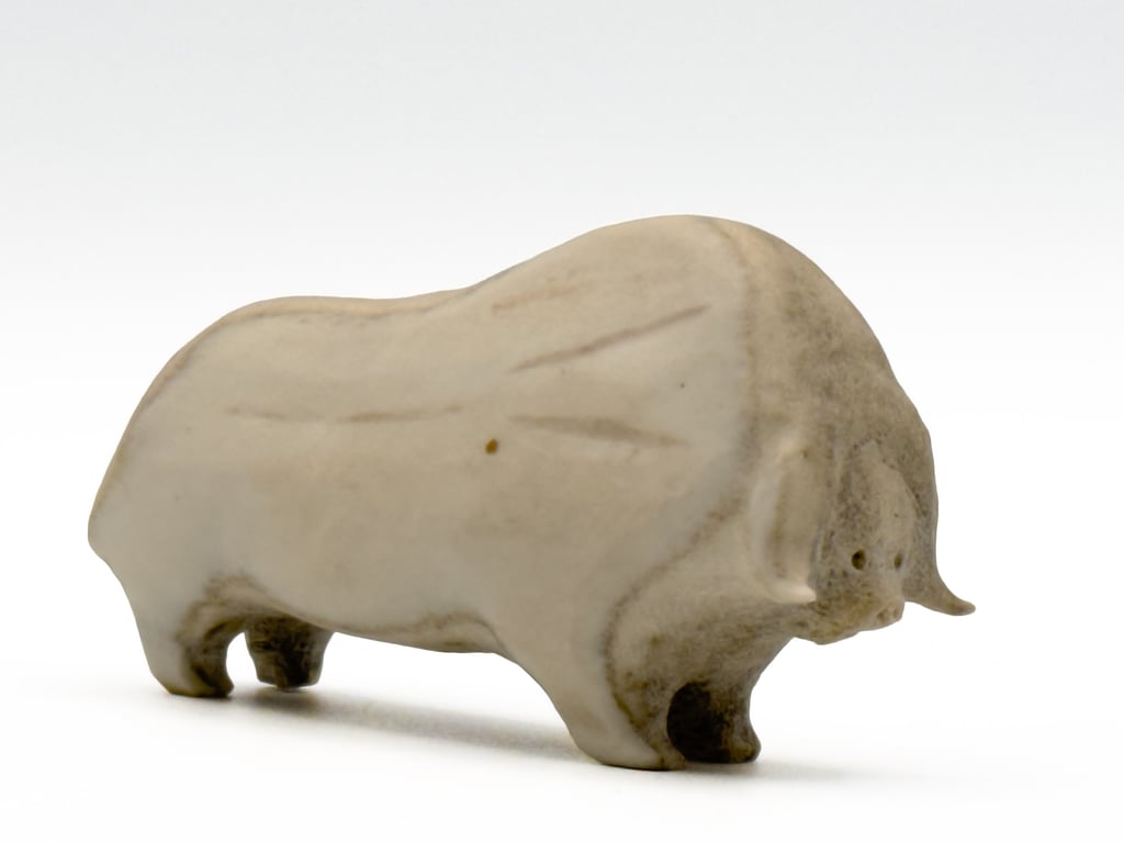 Muskox