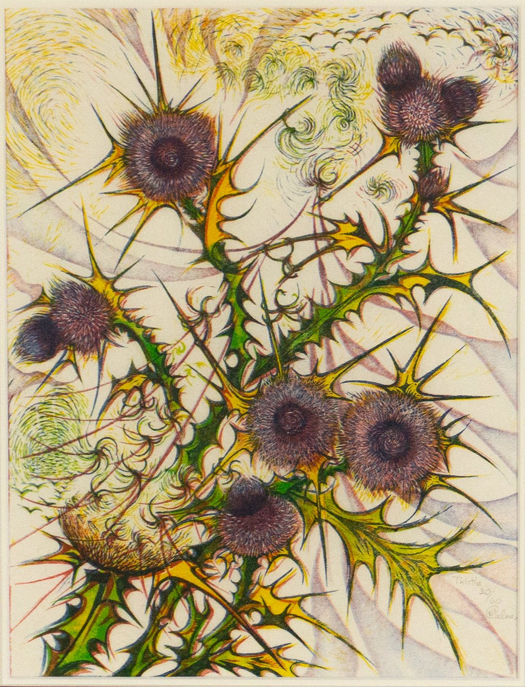 Thistle