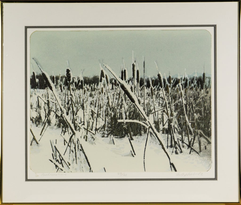 Bulrushes