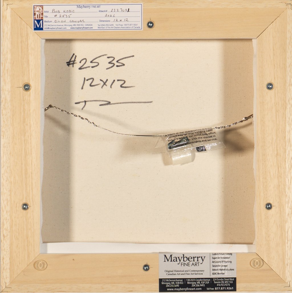 #2535