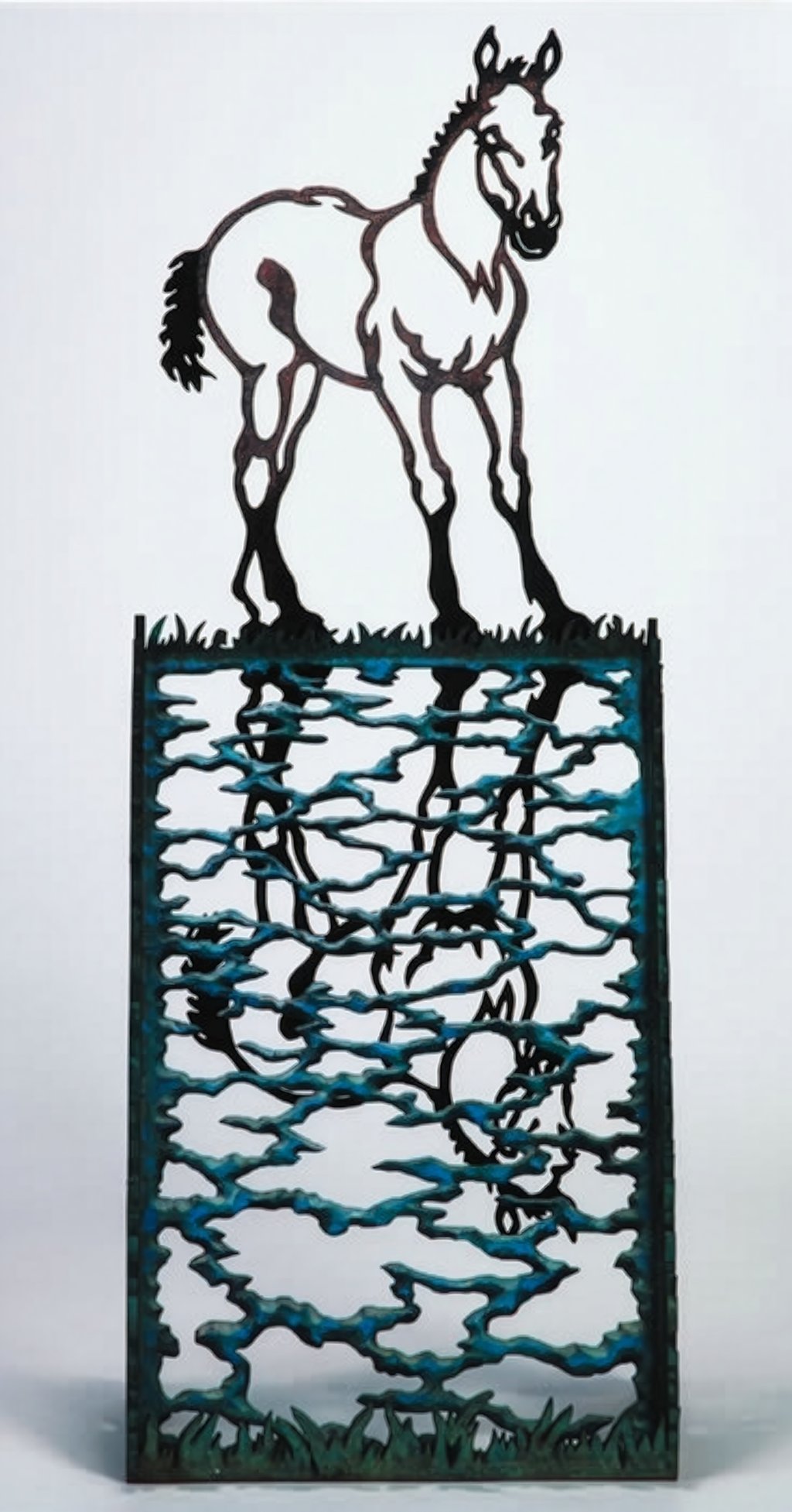 Narcissus
