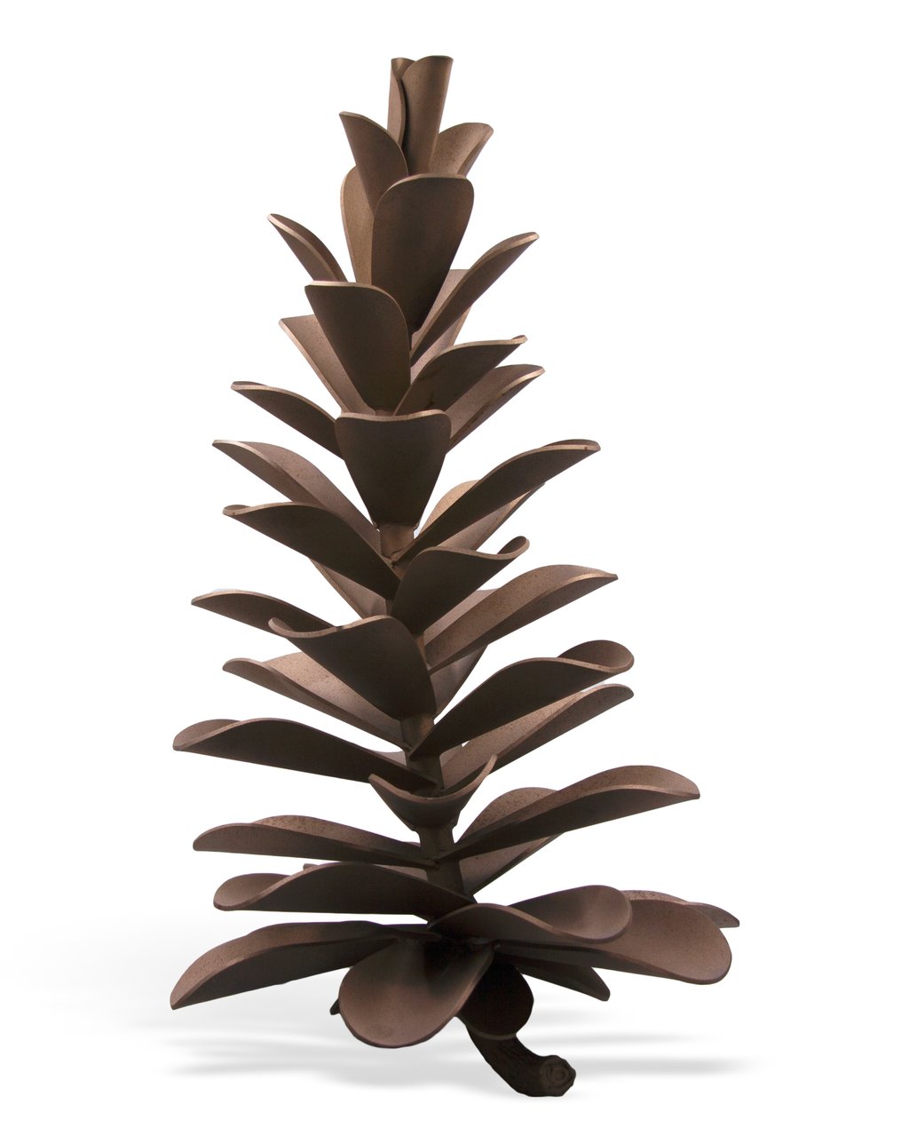 Pine