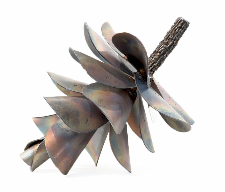 Pine
