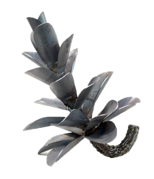 Pine