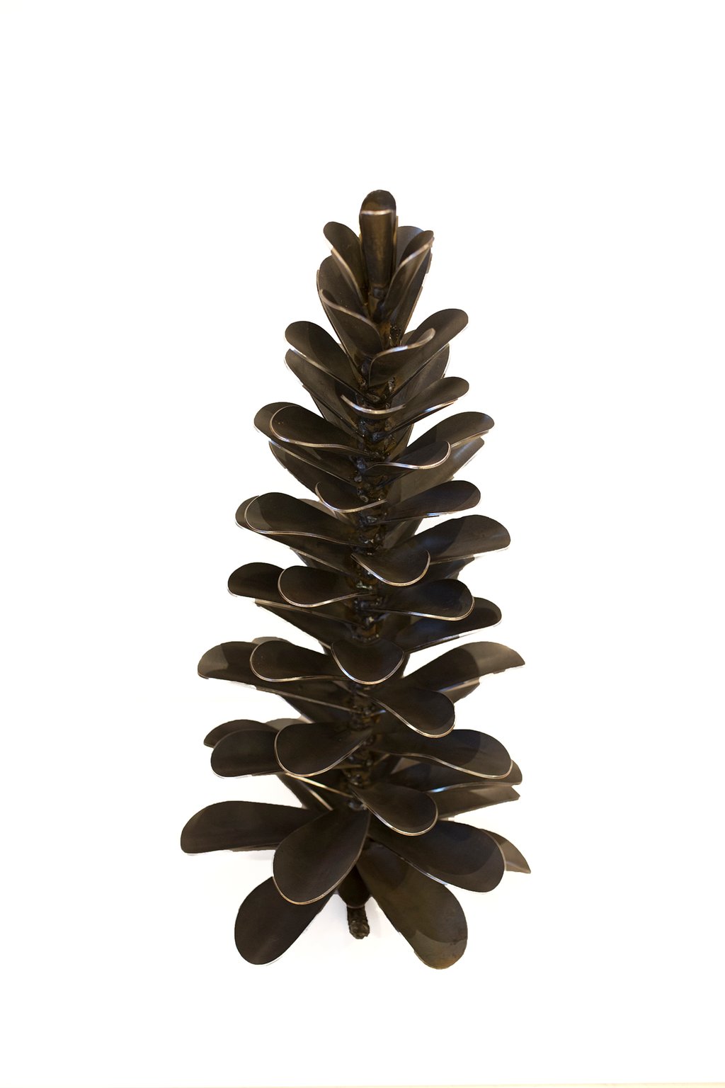 Pine