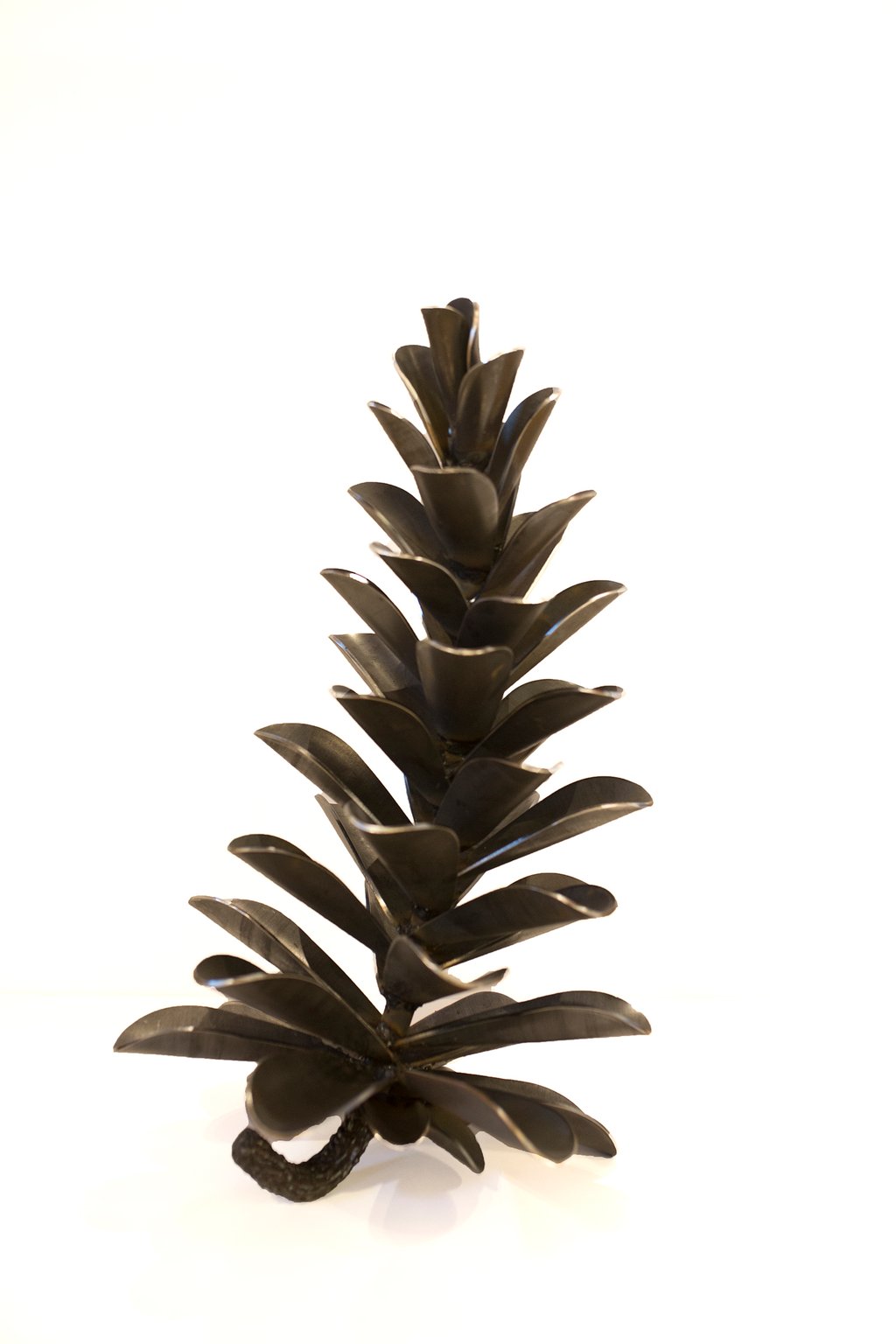Pine