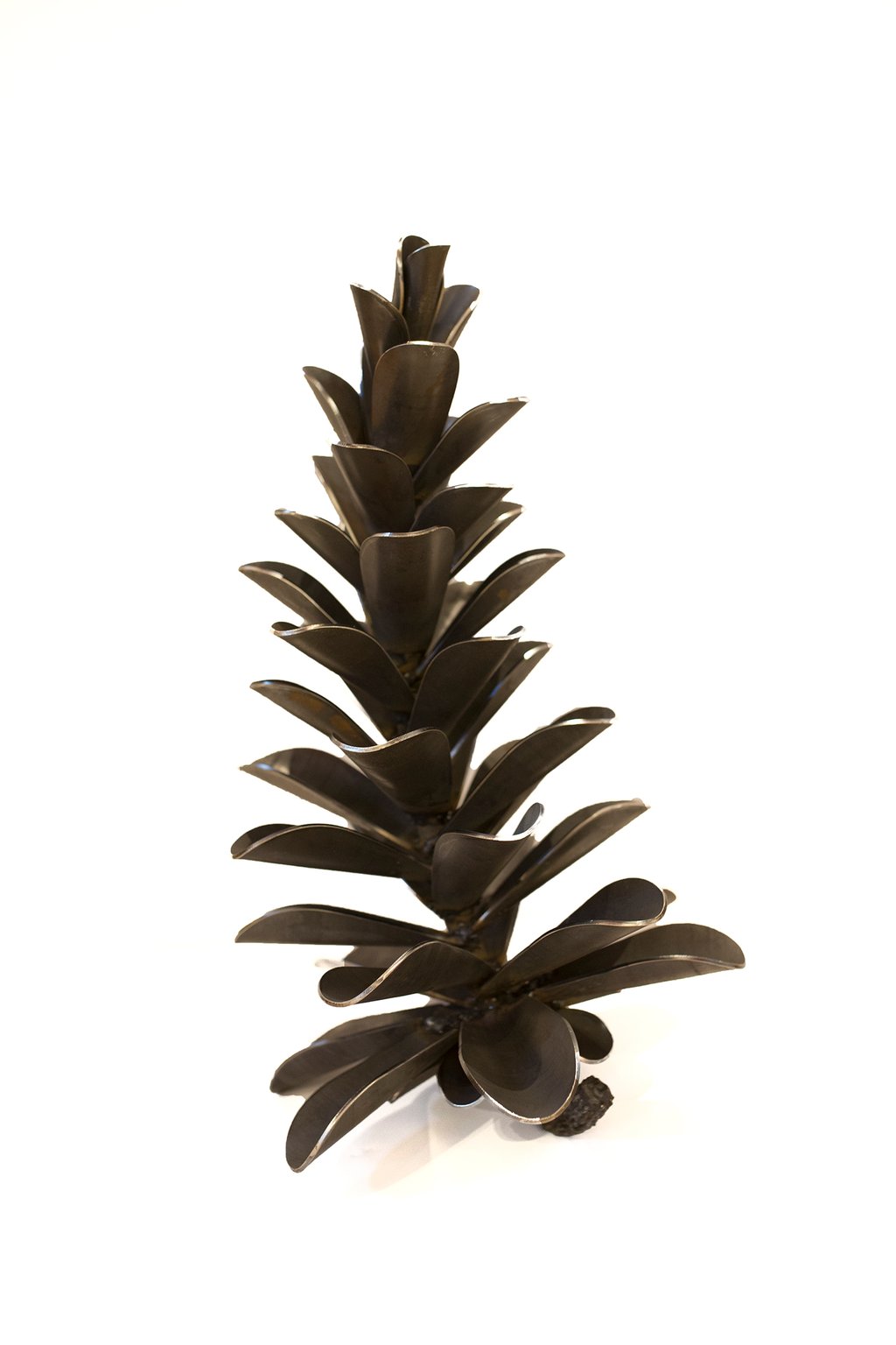 Pine