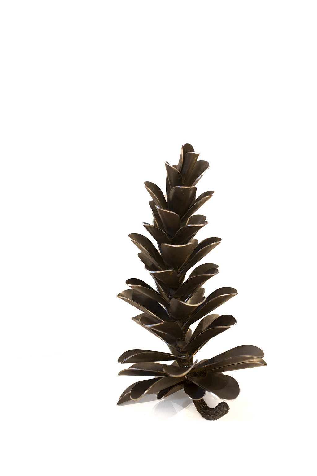 Pine