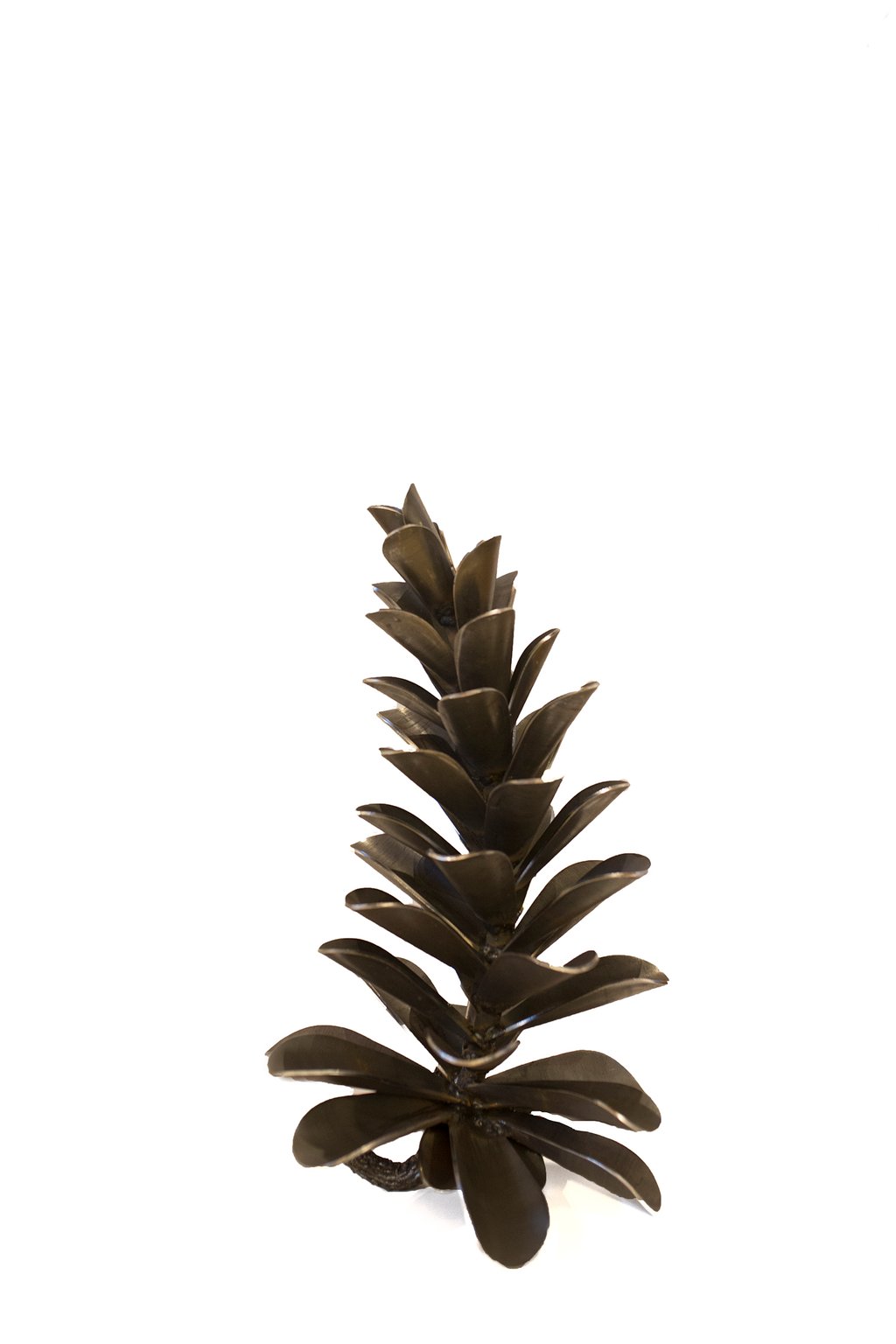 Pine