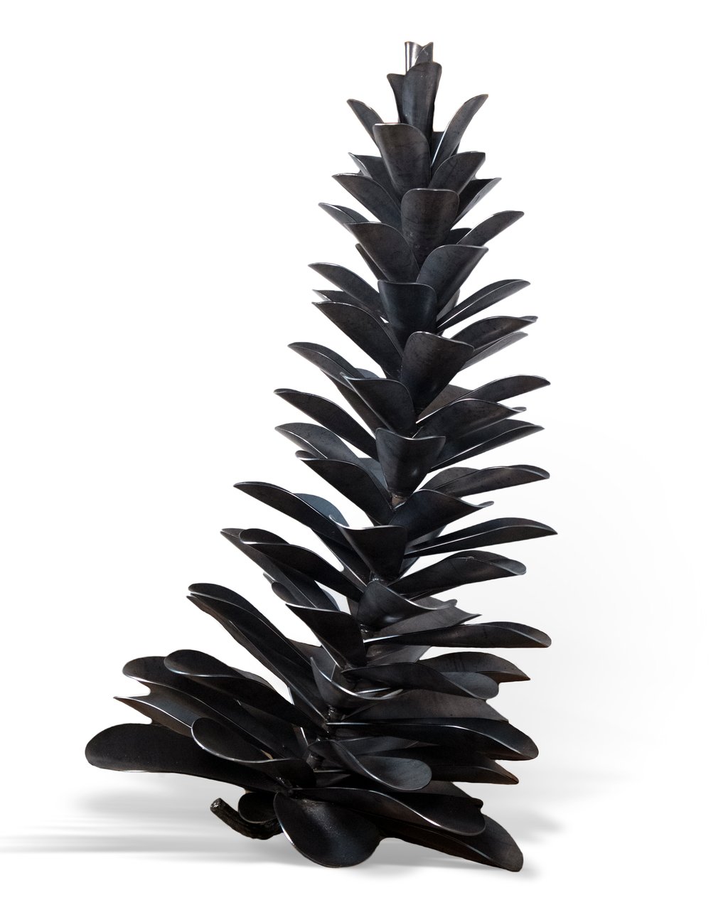 Pine