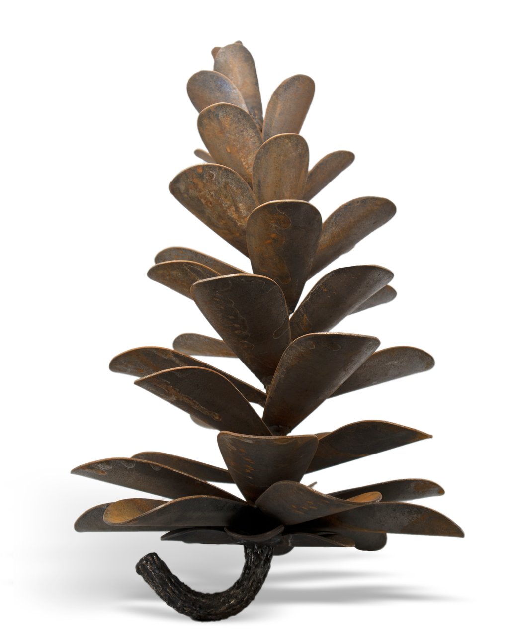 Pine