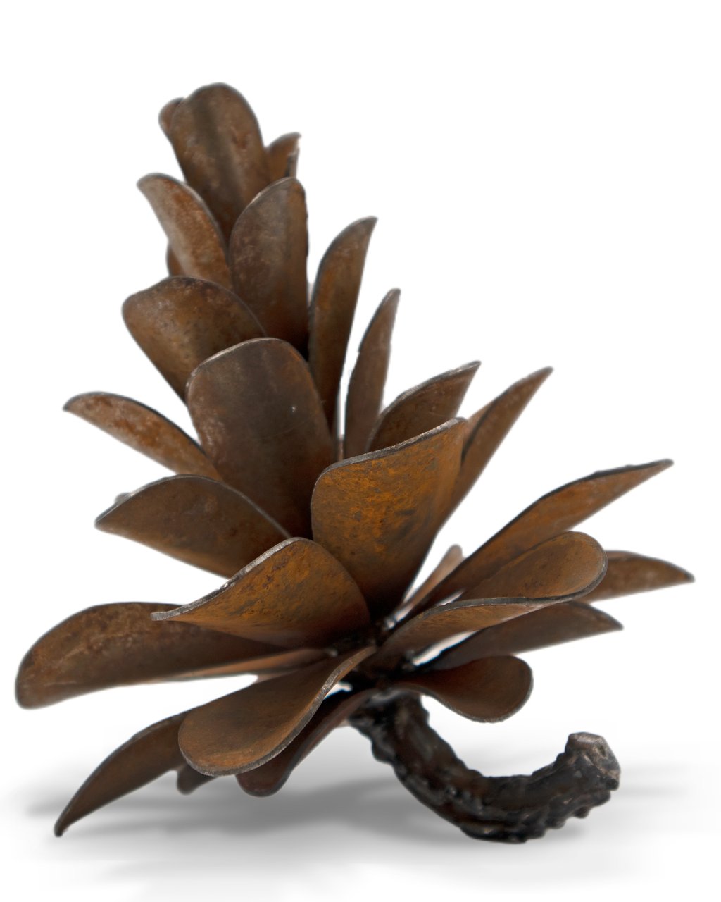 Pine