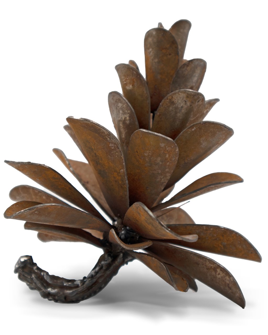 Pine