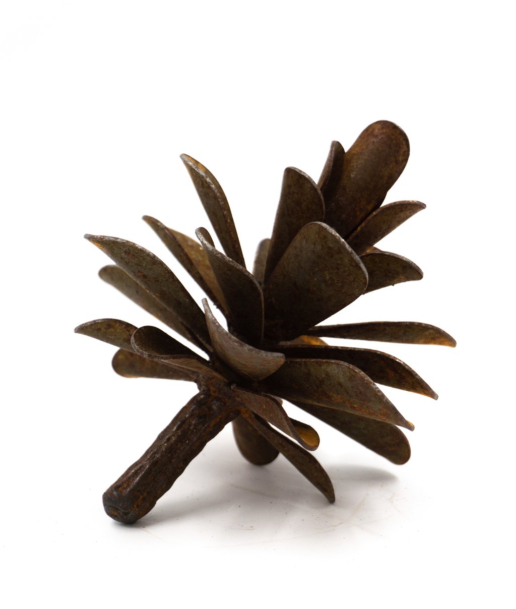 Pinecone