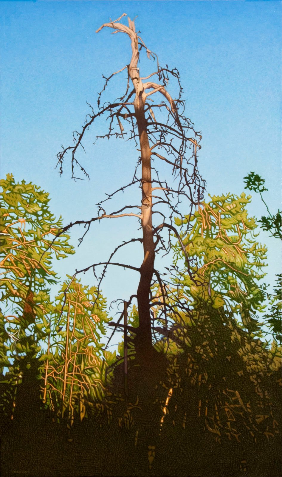 Sentinel-