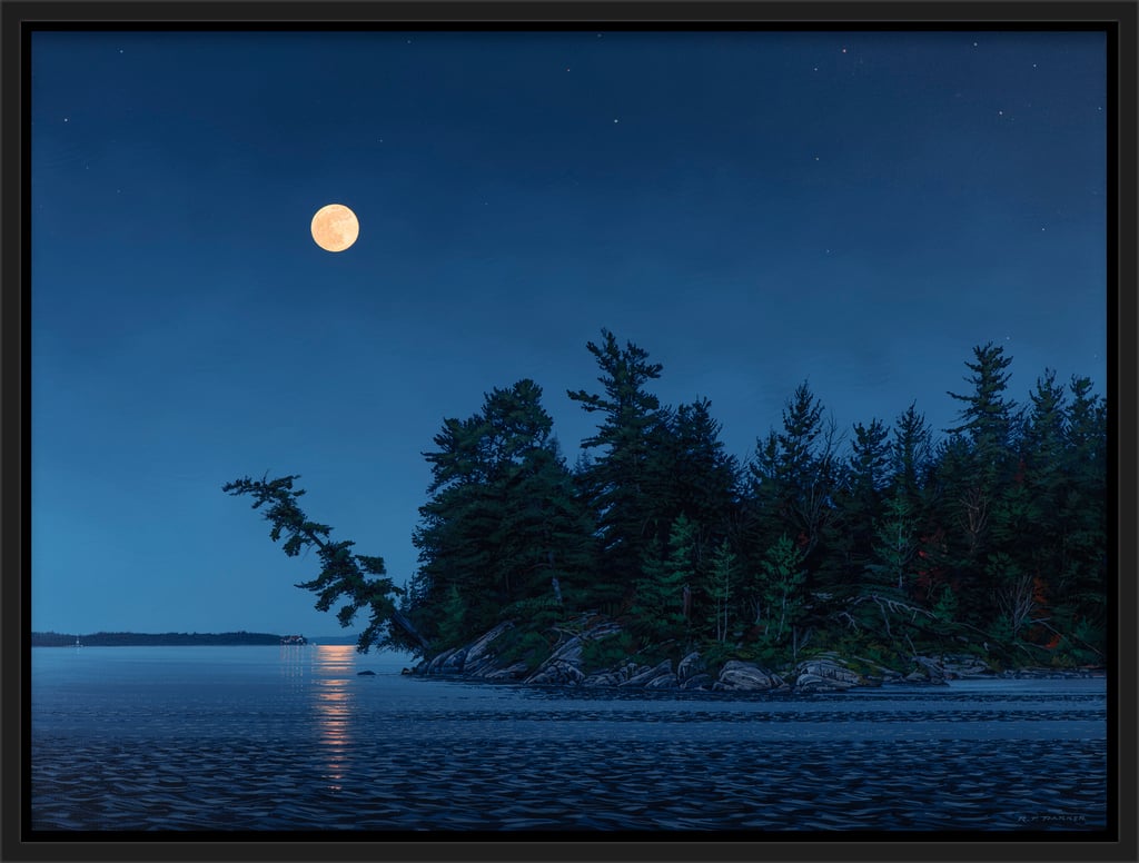 Moonlight