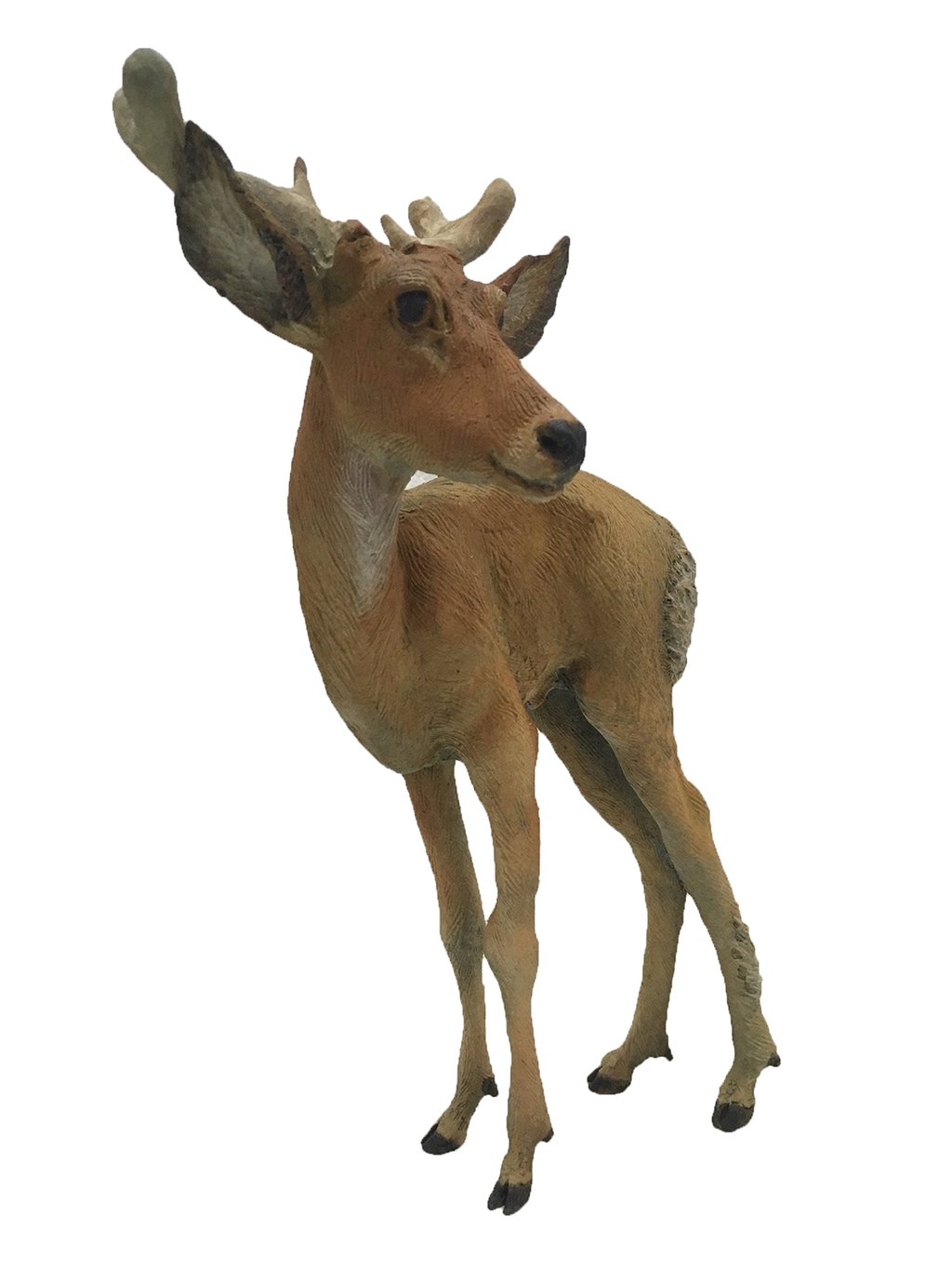 Yearling