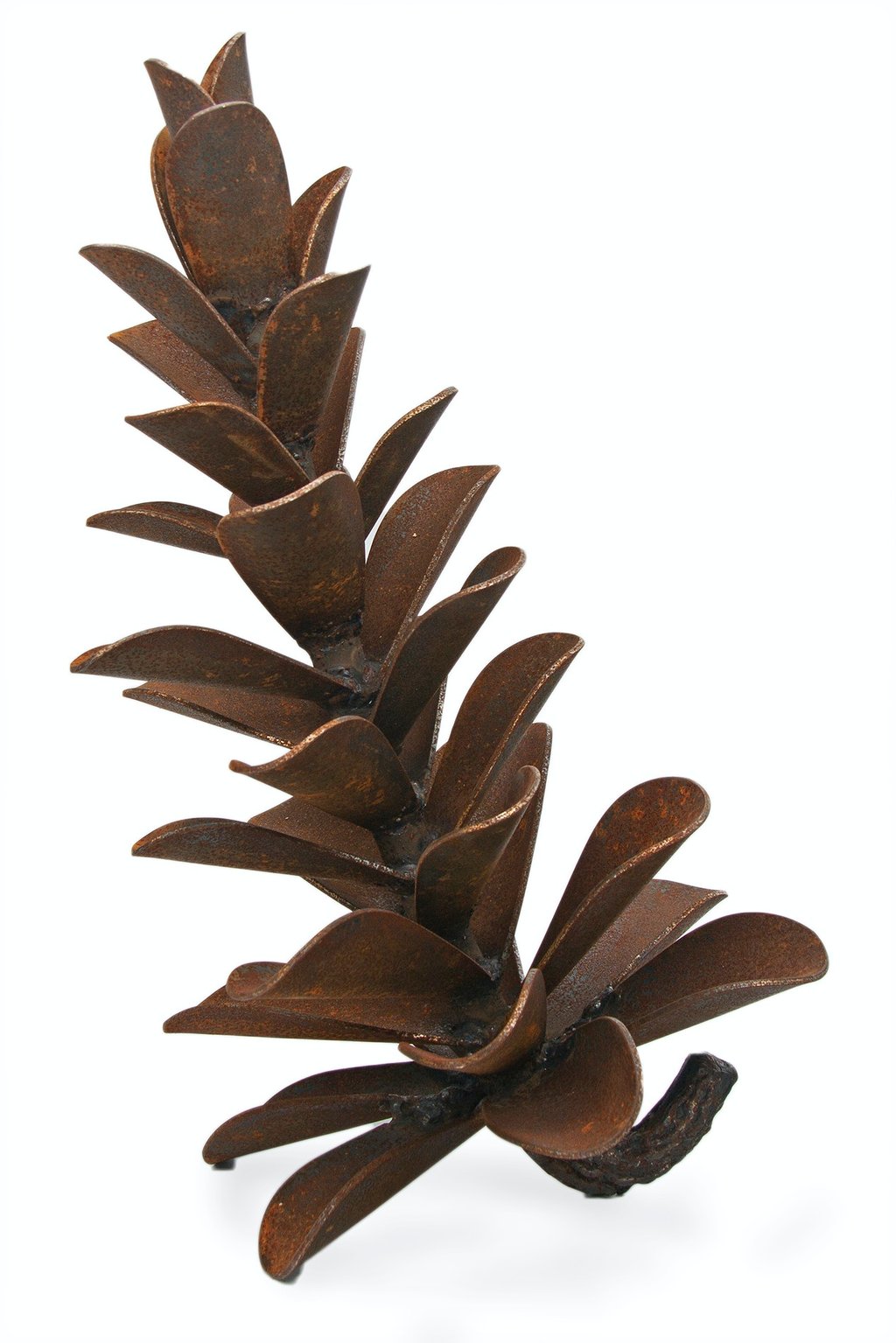 Pine