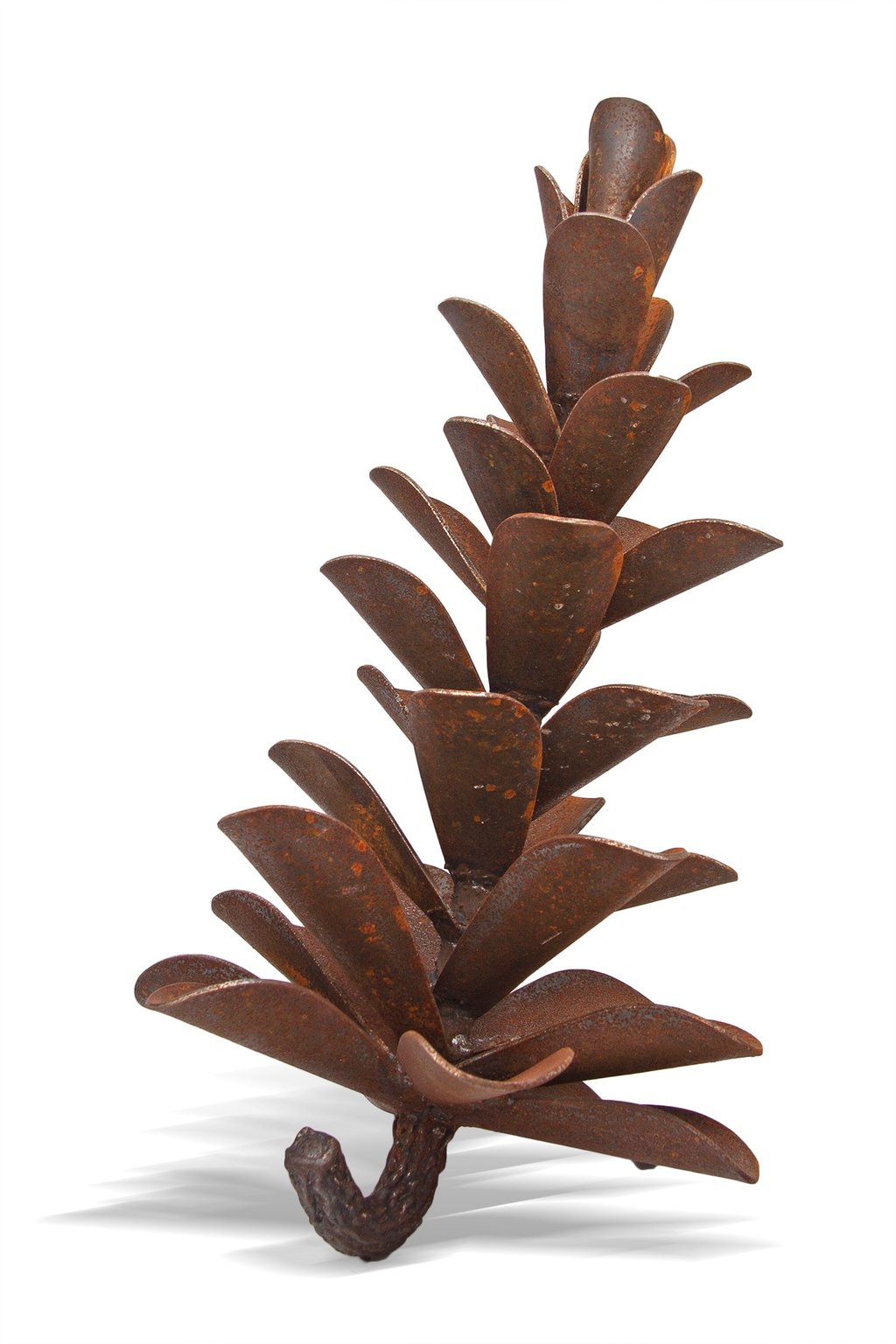 Pine