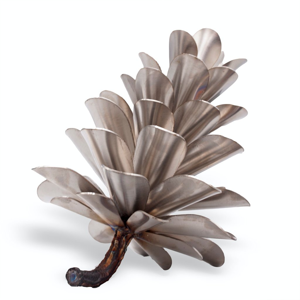 Pine