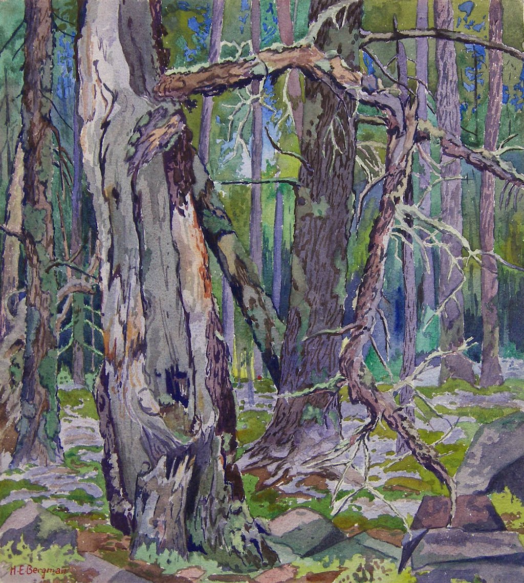 Whiteshell