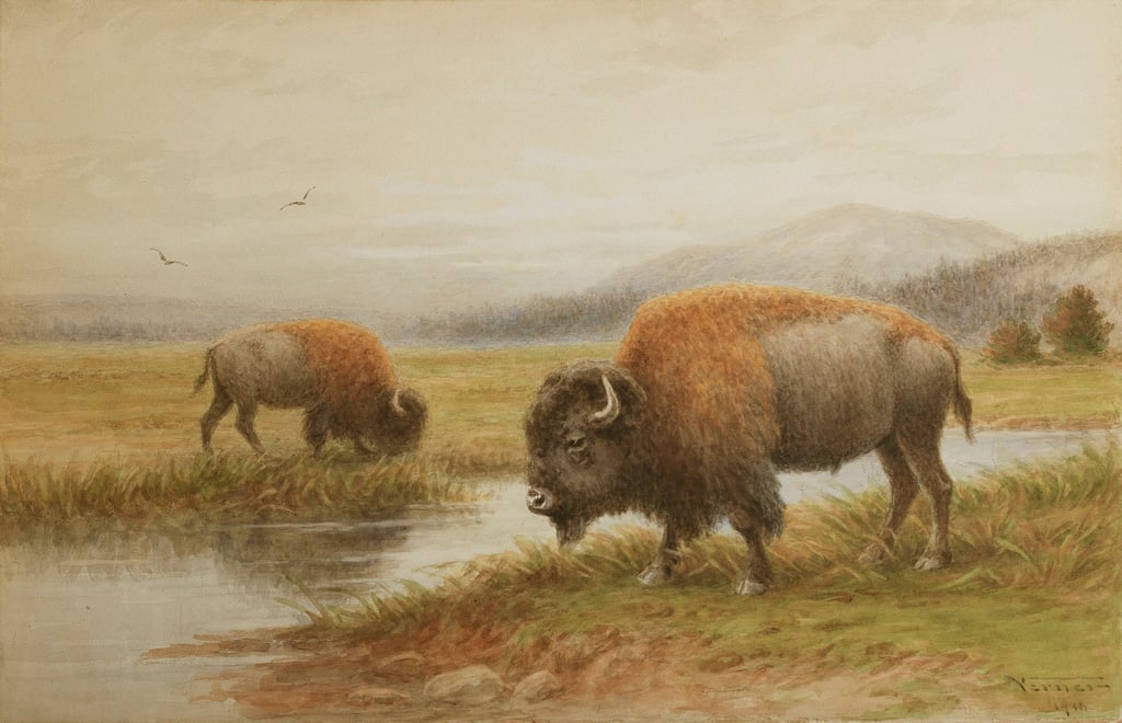 Buffalo