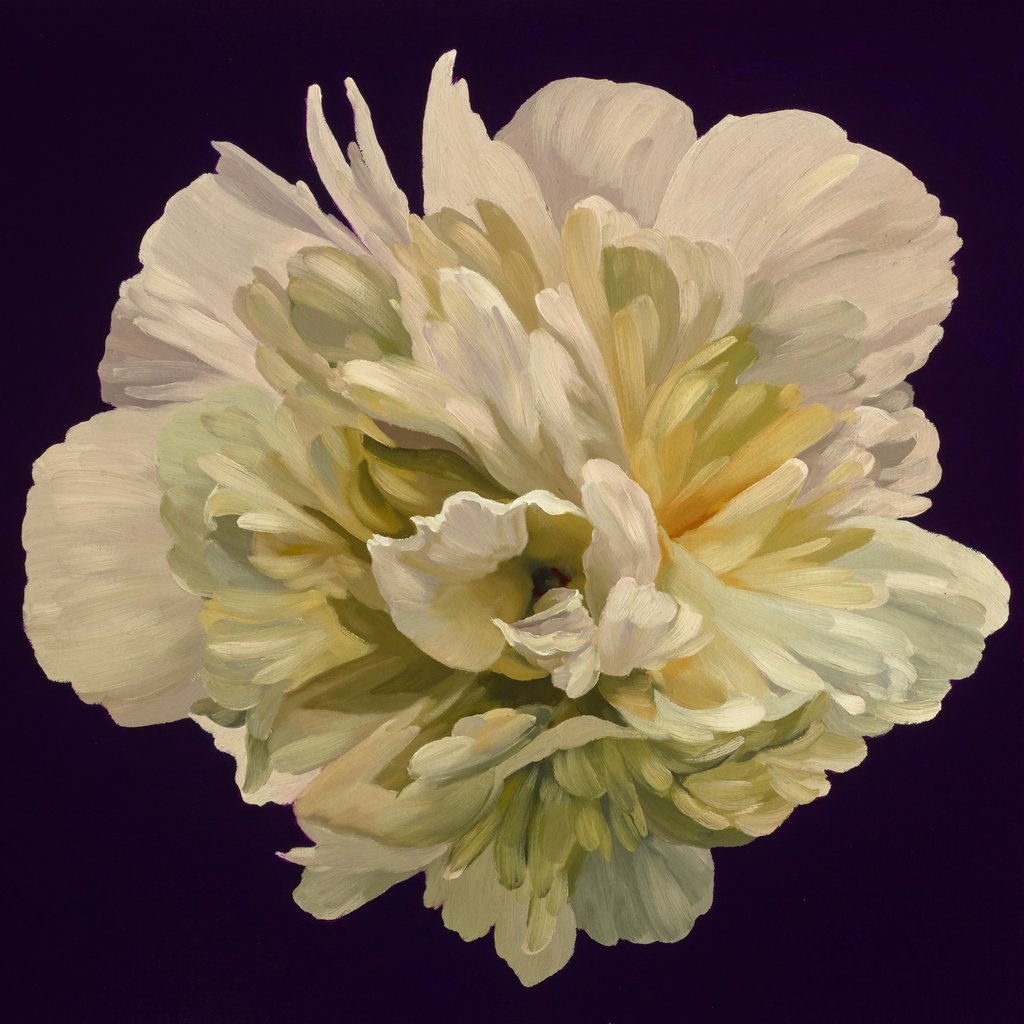 Peony