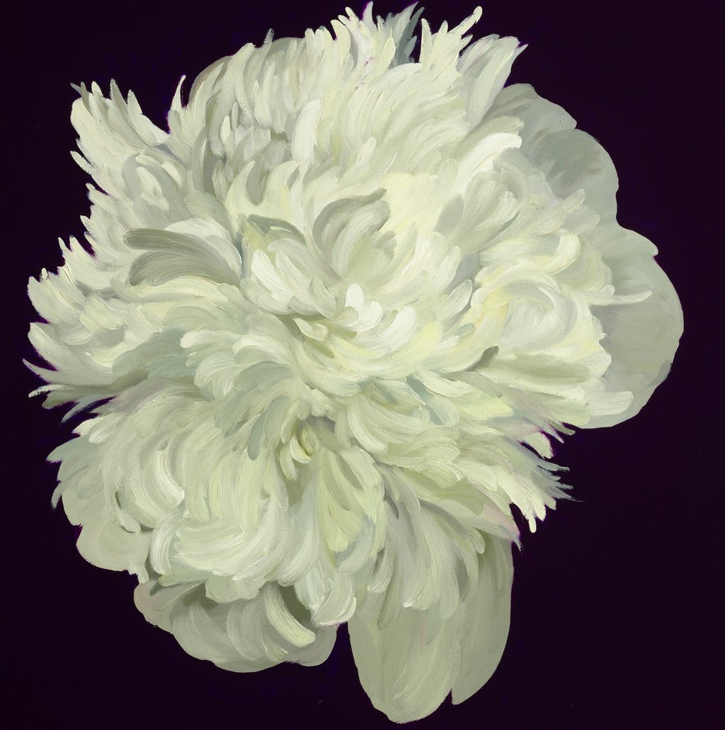 Peony