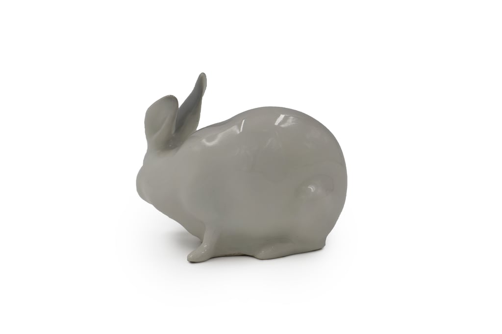 Rabbit