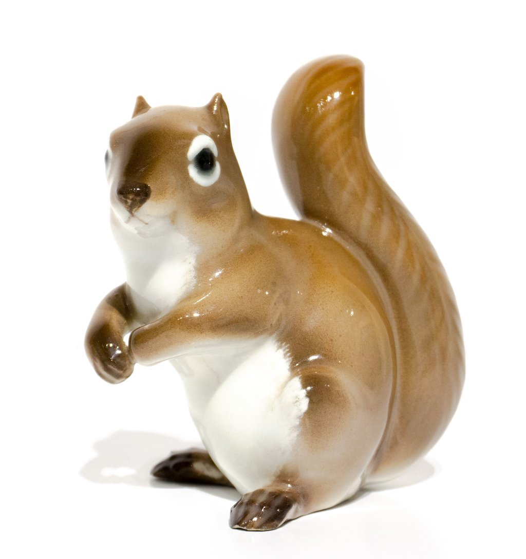 Squirrel