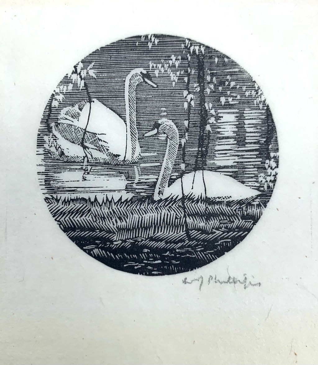 Swans