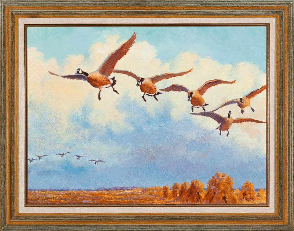 Geese