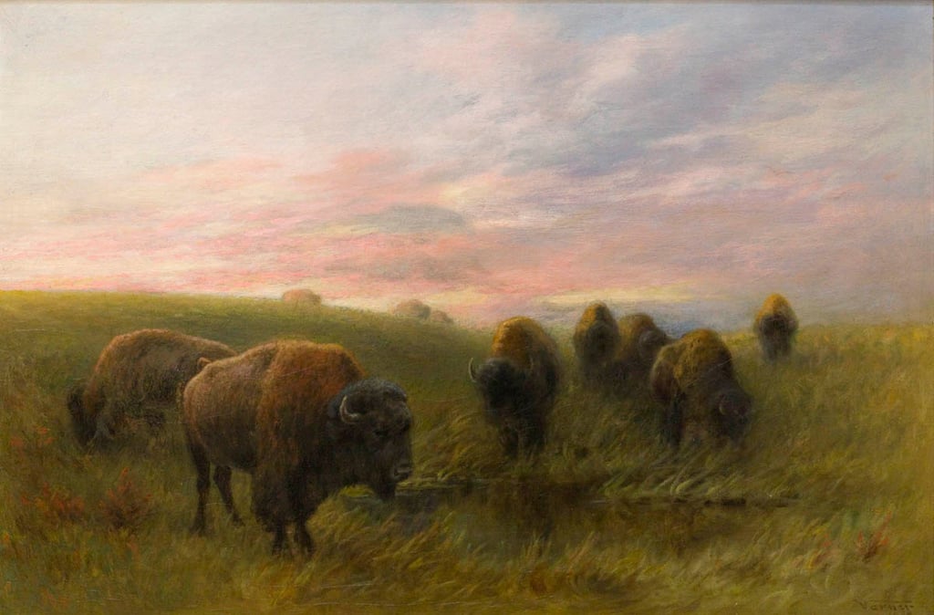 Buffalo