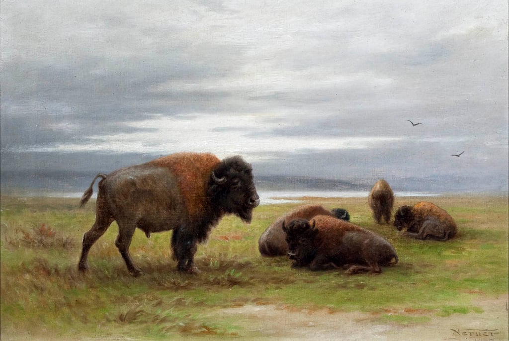 Buffalo