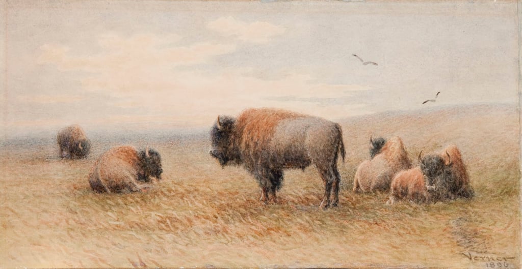 Plains