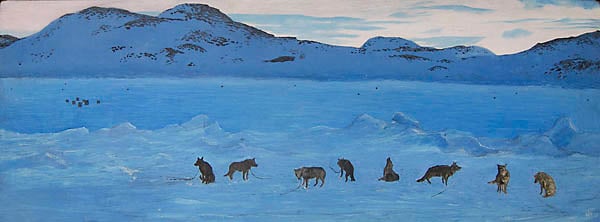 Huskies
