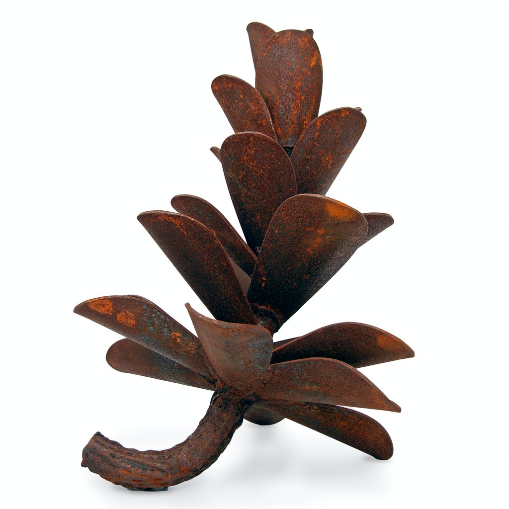 Pine
