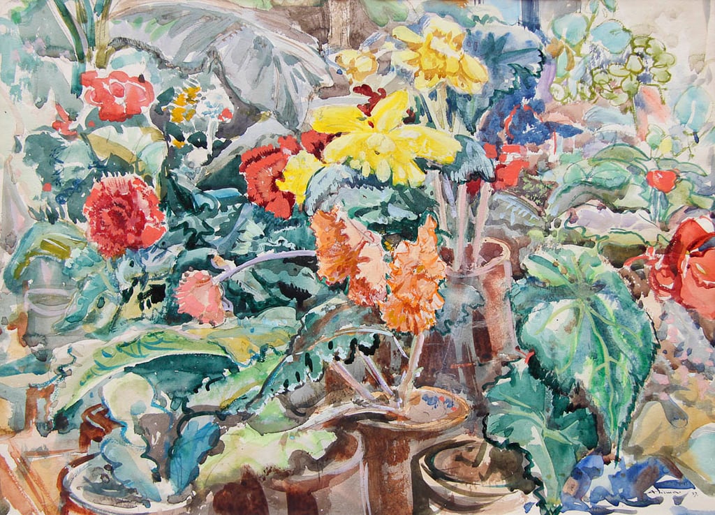 Begonias