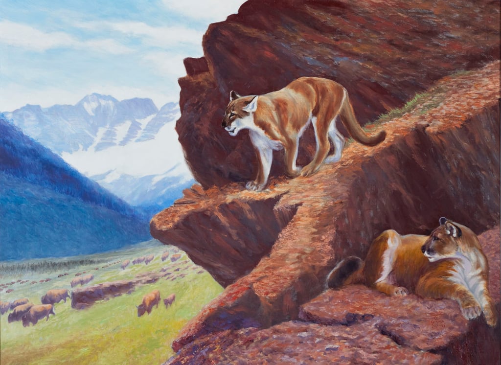 Cougars